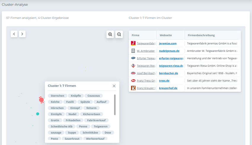 Cluster-Analyse