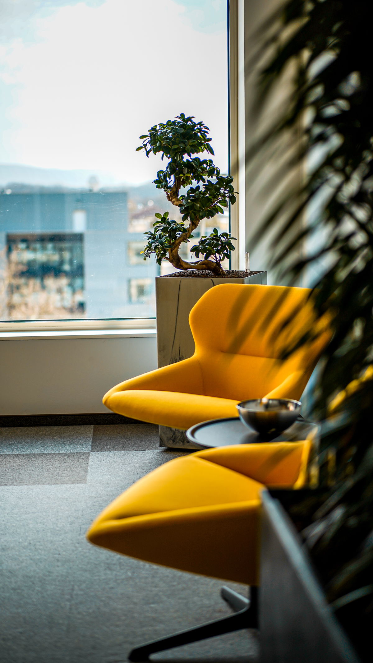 Echobot Office-8